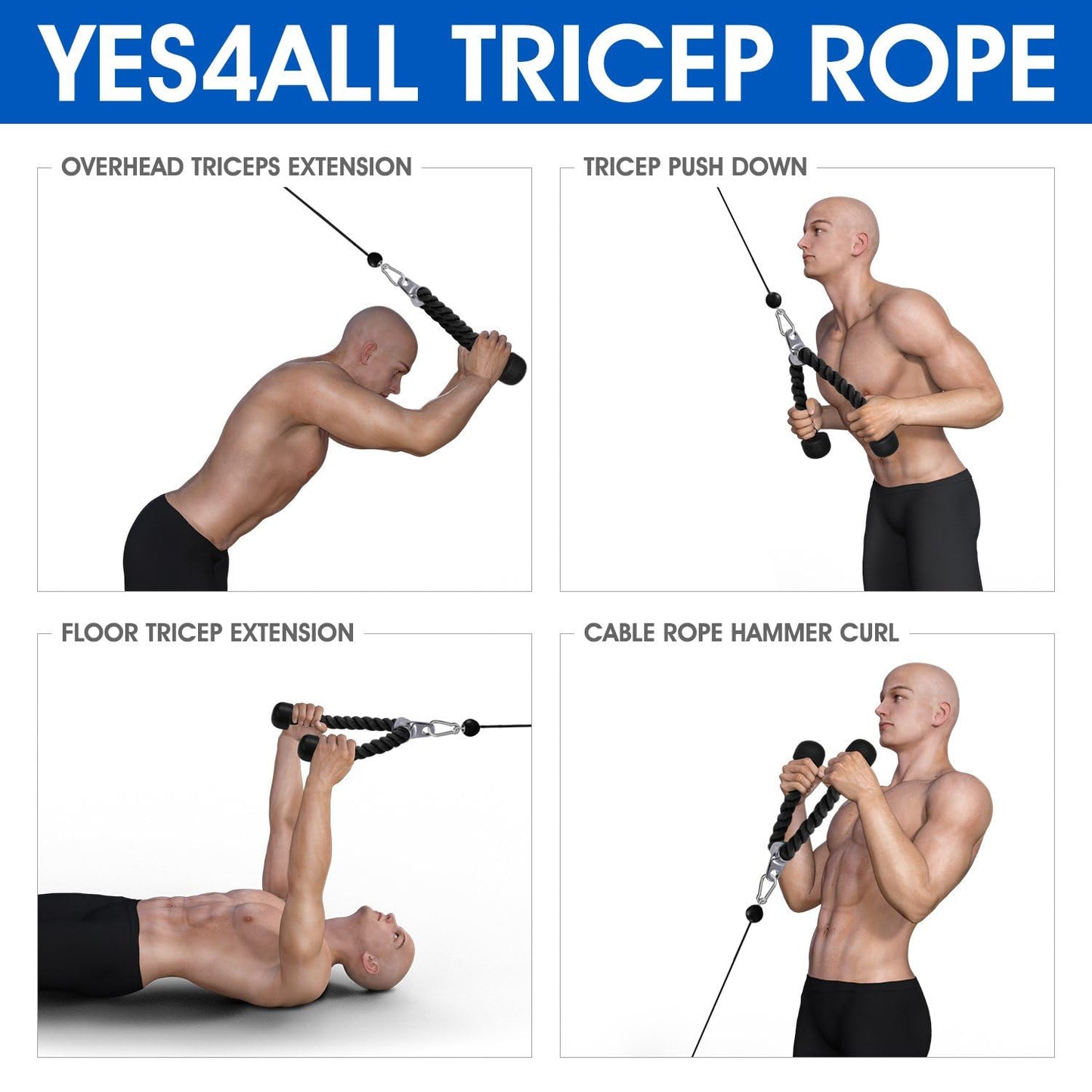 Tricep Rope (with Carabiner)